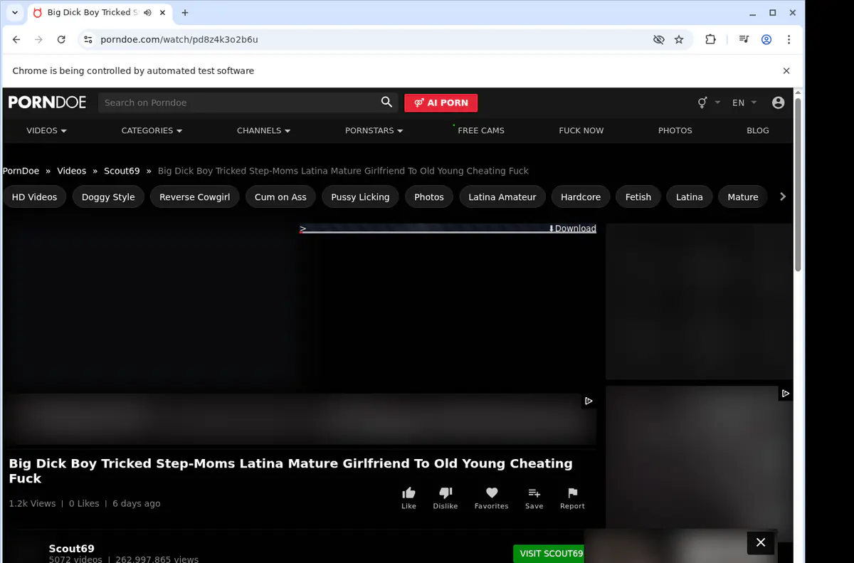 Porndoe Video Downloader browser extension screenshot 3