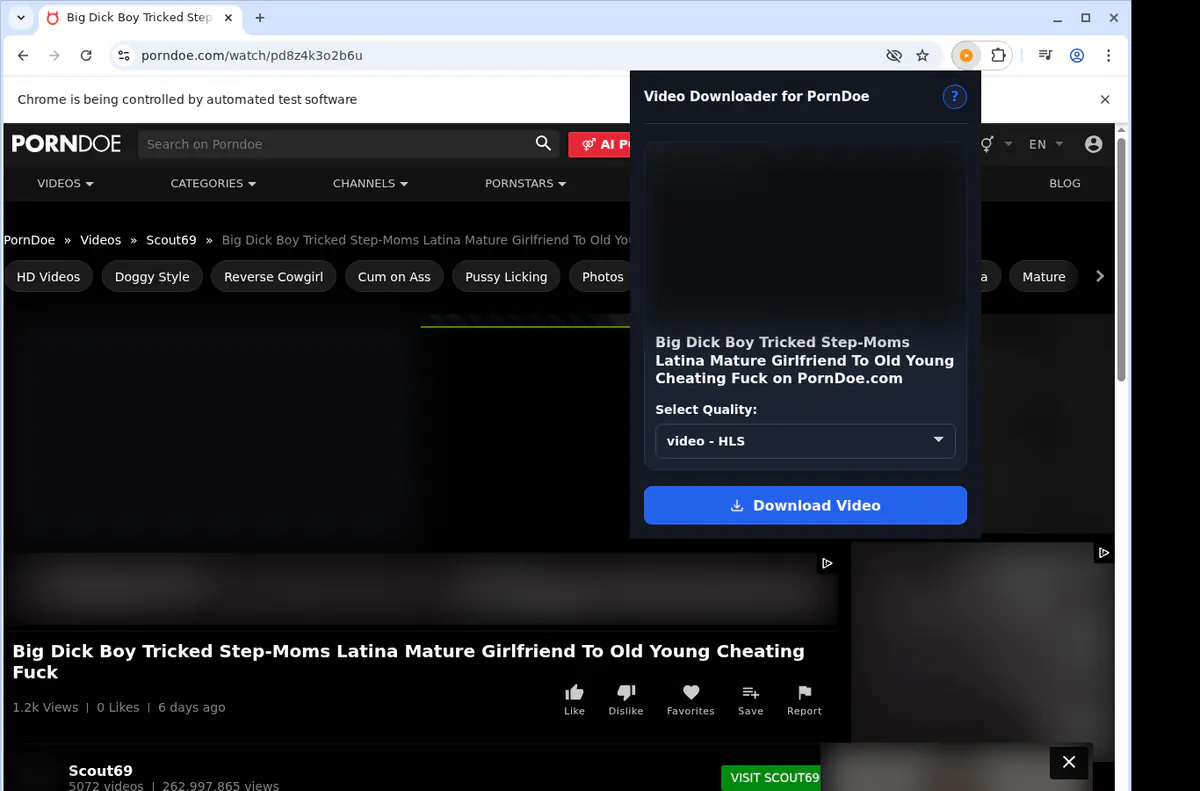 Porndoe Video Downloader browser extension screenshot 4
